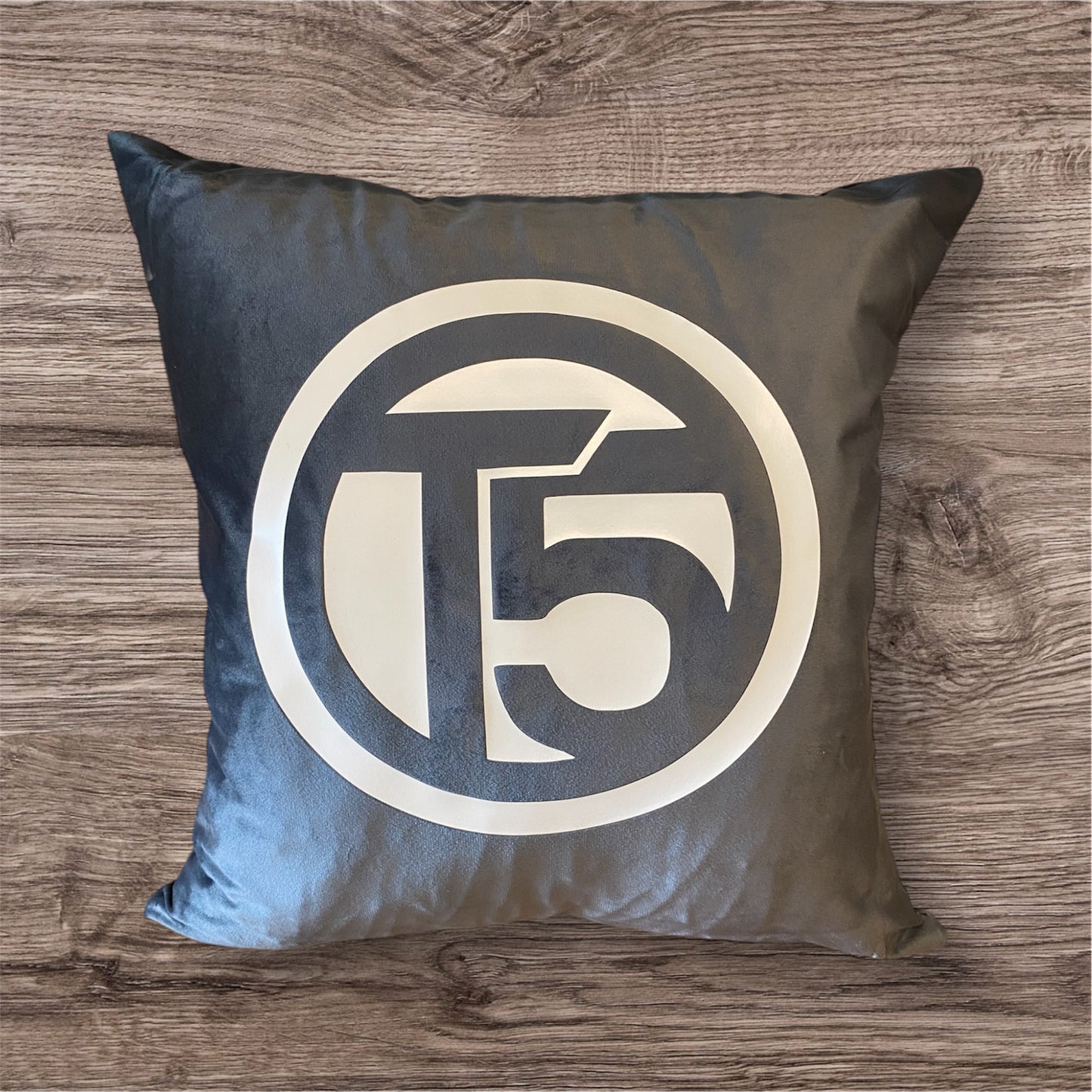 VW T5 Velvet Cushions x2